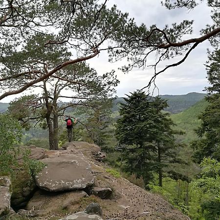 L'Ours Vert ベーレンタール エクステリア 写真